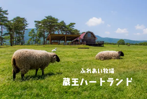 蔵王酪農センターチーズ工場