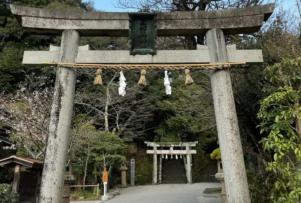 玉作湯神社の写真・動画_image_917872