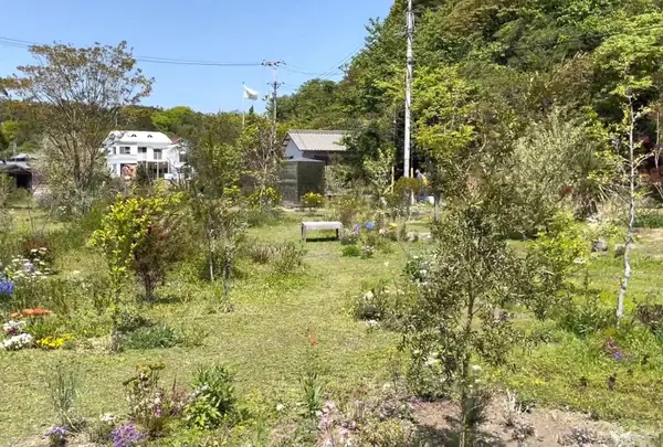 犬島くらしの植物園の写真・動画_image_931352