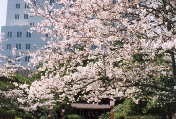 豊橋公園