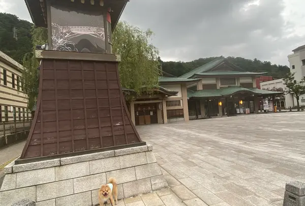 加賀　山中温泉　菊の湯の写真・動画_image_945291