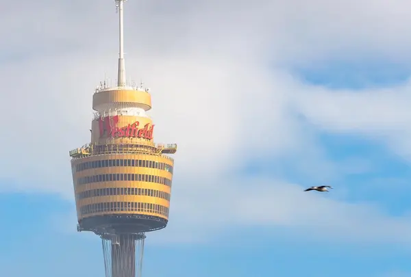 Sydney Tower Eye（シドニータワー・アイ）