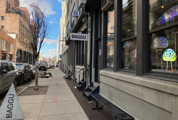 BAGGU Brooklyn