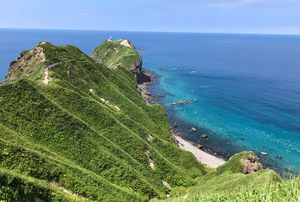 神威岬の写真・動画_image_985495