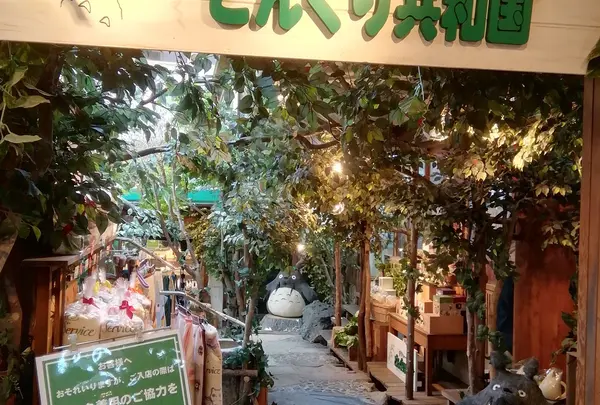 どんぐり共和国