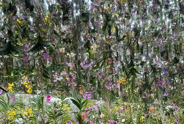チームラボプラネッツ TOKYO (teamLab Planets TOKYO) DMMの写真・動画_image_713866