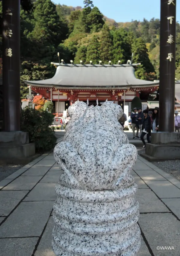 かえる 大山阿夫利神社