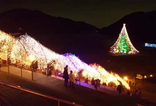 集落全体がクリスマス☆　別世界の様なキラキラ清川村！