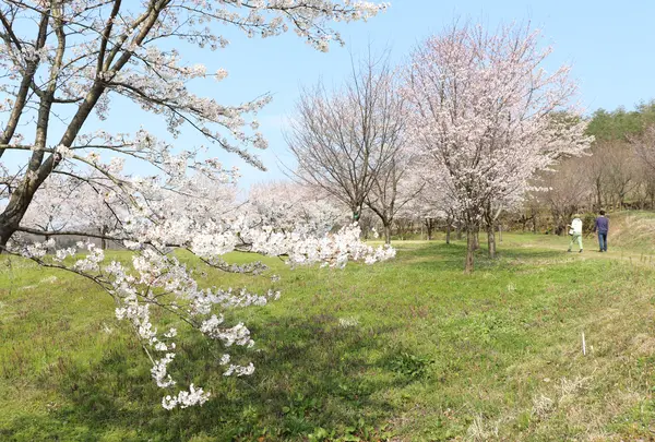 市民の森