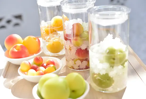 梅体験専門店　蝶屋　鎌倉店