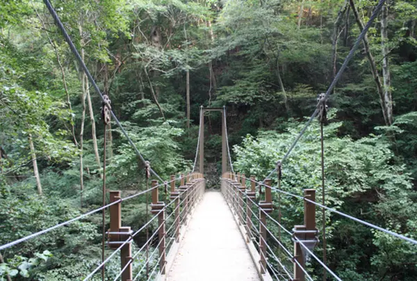 高尾山登山道 吊橋コース    4号路