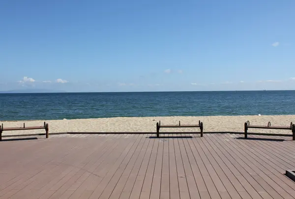大浜海水浴場の写真・動画_image_37559