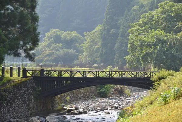 神子畑鋳鉄橋の写真・動画_image_143543