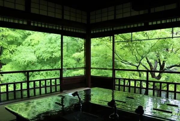 ≪瑠璃の庭≫が見事「無量寿山  光明寺瑠璃光院」