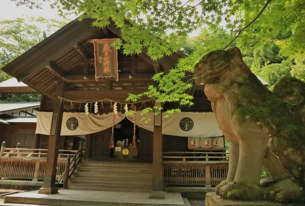 春日山神社の写真・動画_image_264467