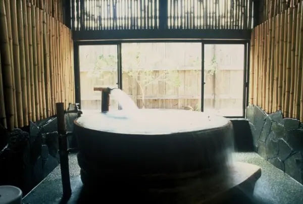 麻生鶴温泉　亀山の湯の写真・動画_image_805491