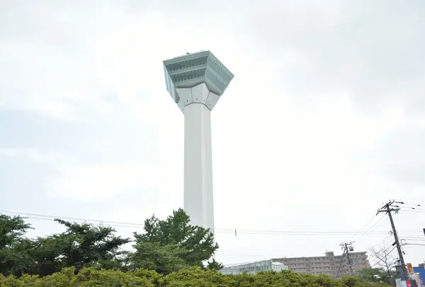 五稜郭タワーの写真・動画_image_934848