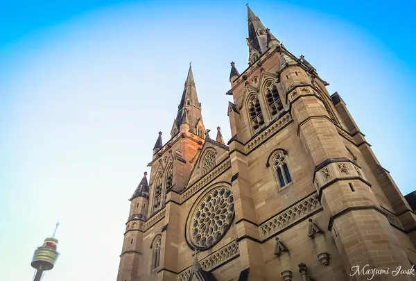 St Mary's Cathedral（セント・メアリー大聖堂）の写真・動画_image_1030392