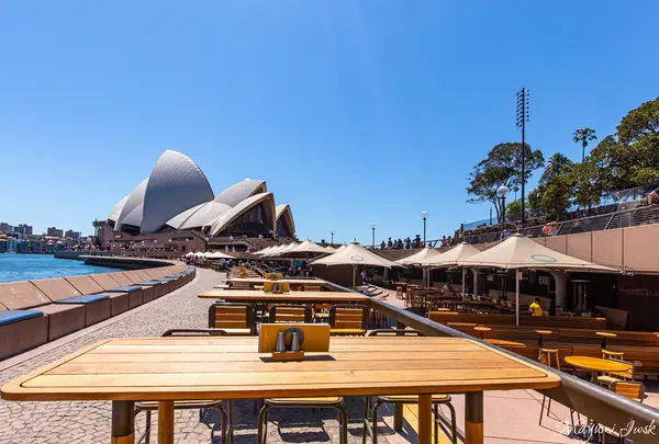 Opera Bar