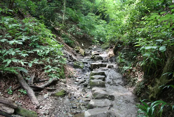 6号路