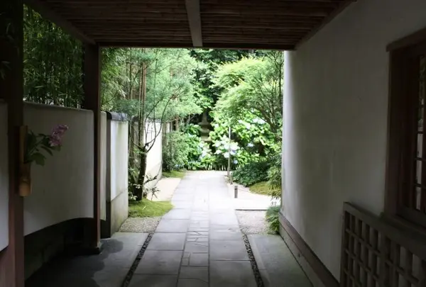 「竹の庭」
