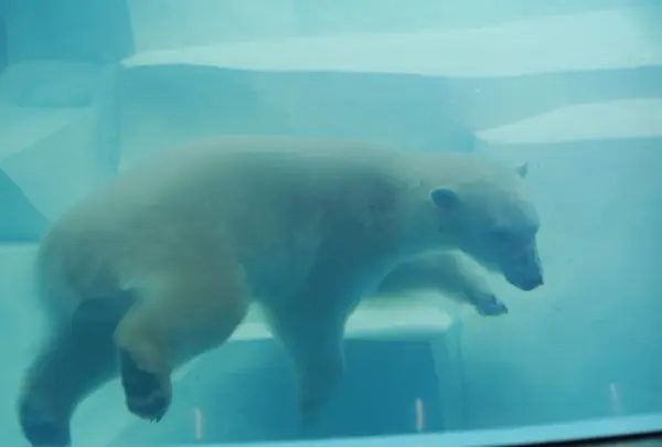 センタードーム海獣館