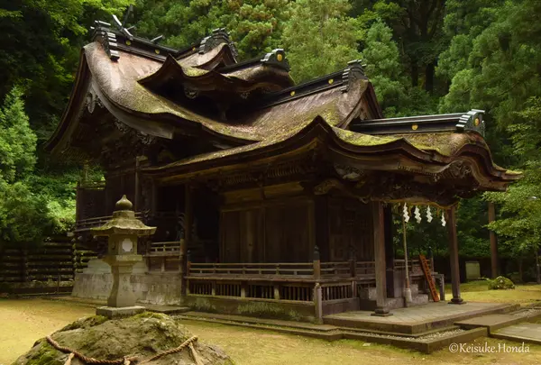 紙祖神岡太神社・大滝神社の写真・動画_image_347451