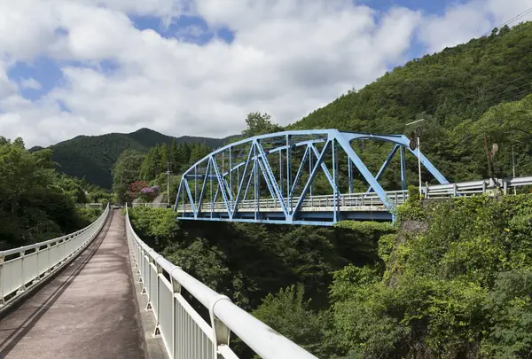 音海側道橋の写真・動画_image_482967