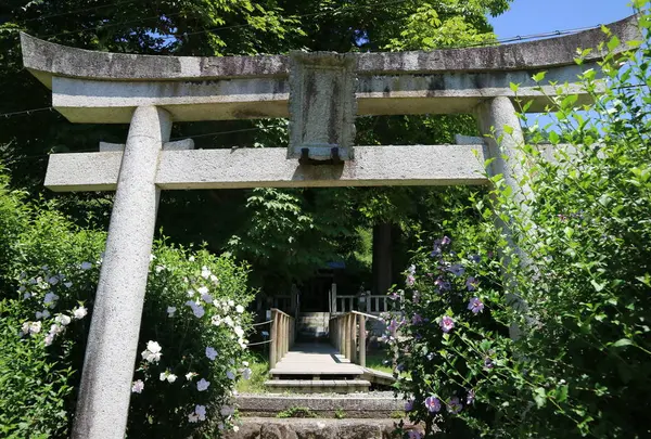 稲荷神社の写真・動画_image_499376