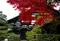 京都 南禅寺界隈の紅葉を愉しむ大人旅