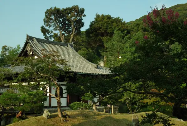高台寺の写真・動画_image_189439