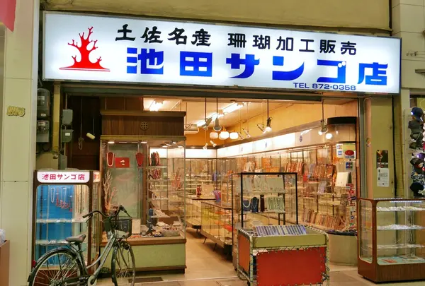 サンゴ専門店