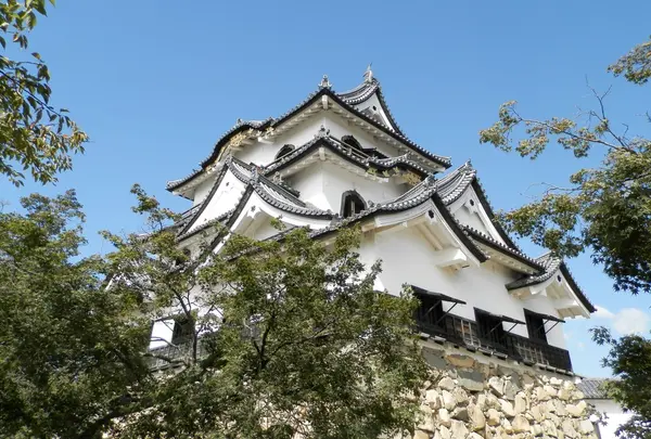彦根城の写真・動画_image_199160