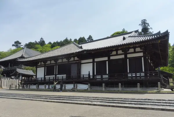 東大寺の写真・動画_image_190258