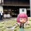 青瞬シキ