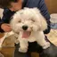 のどかちゃんケーキ