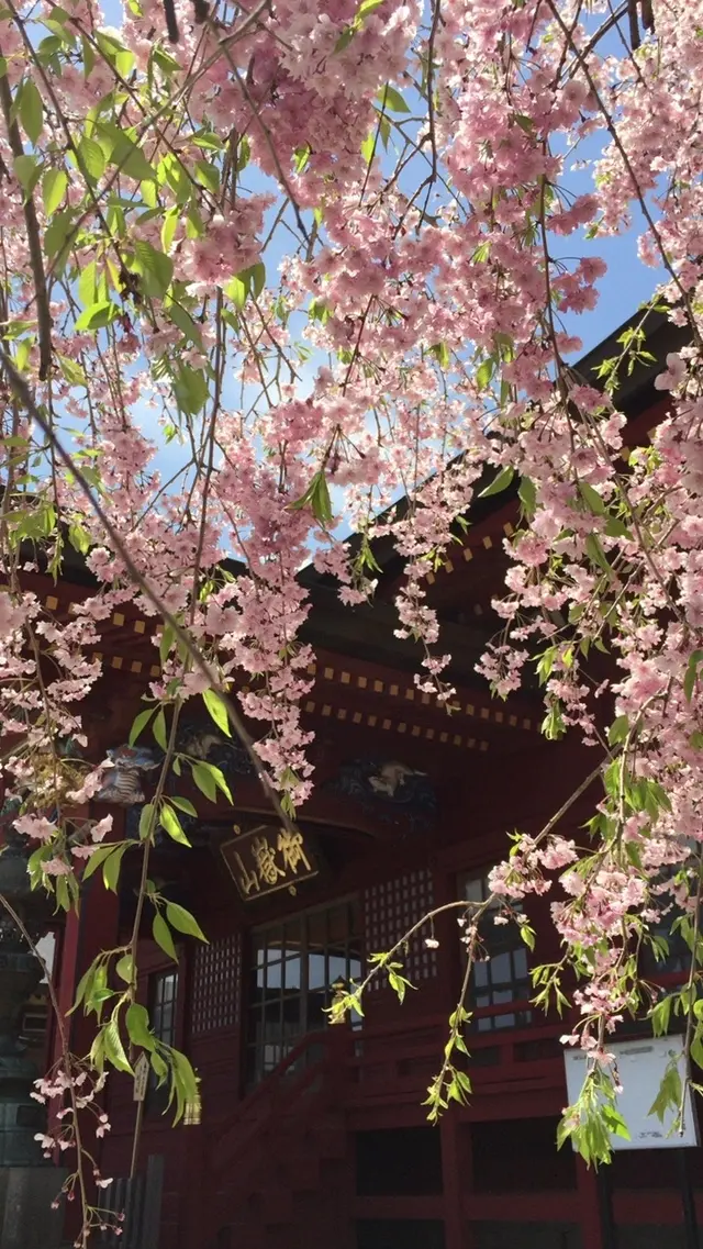武蔵御嶽神社
