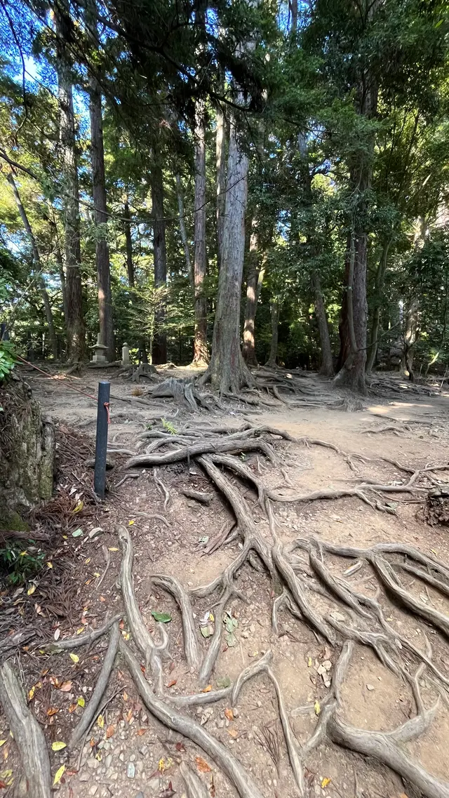 鞍馬寺