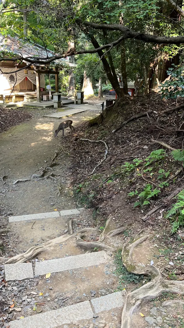 鞍馬寺