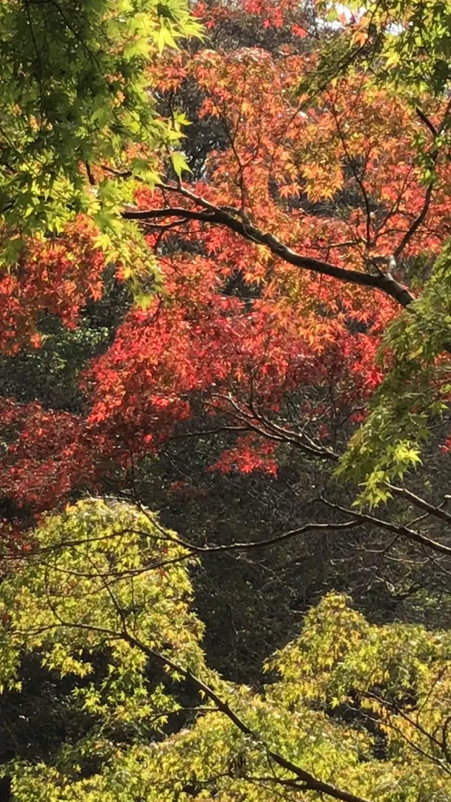 泉自然公園
