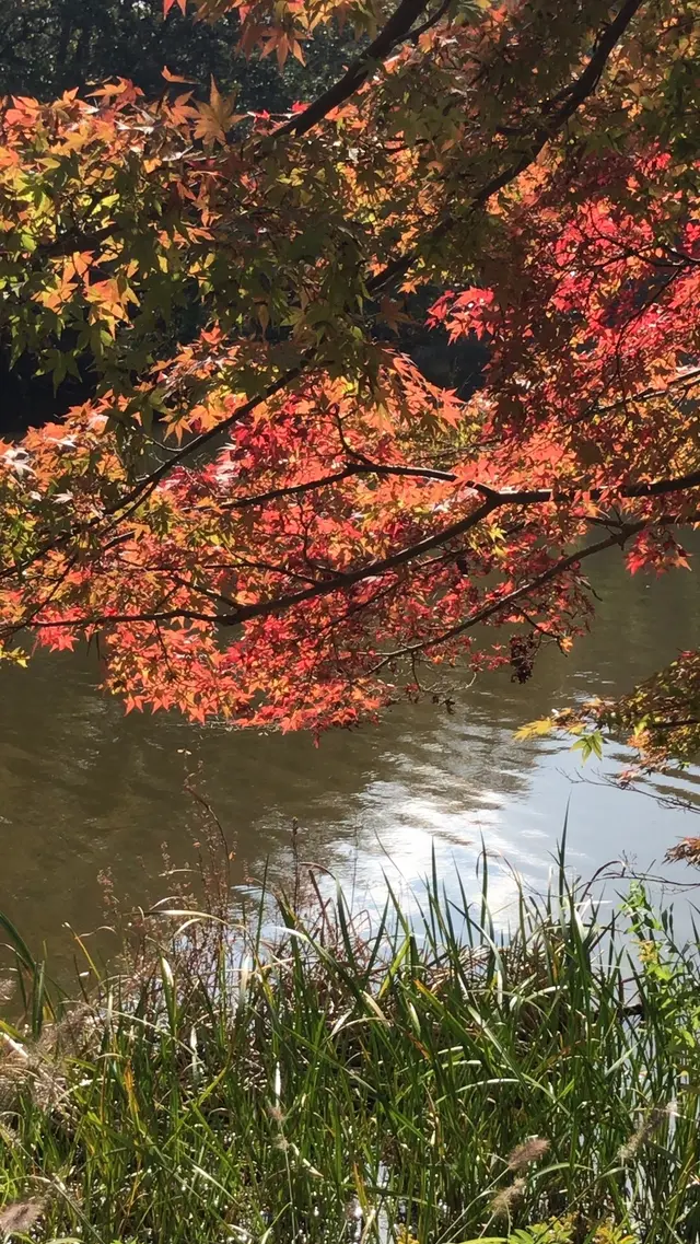 泉自然公園