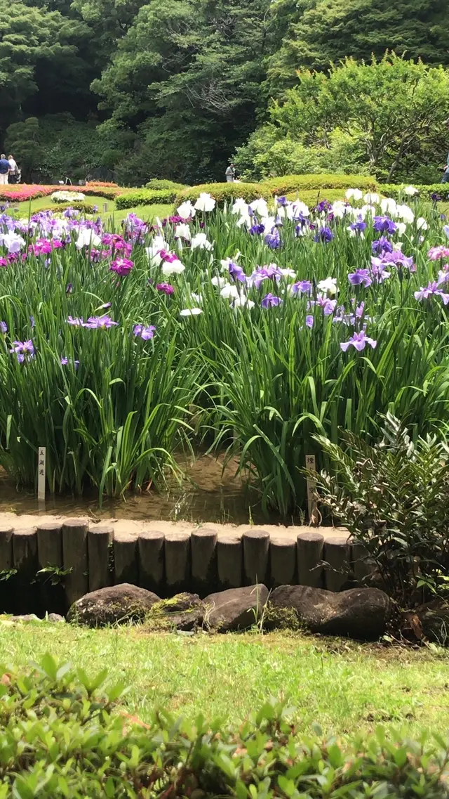 二の丸庭園