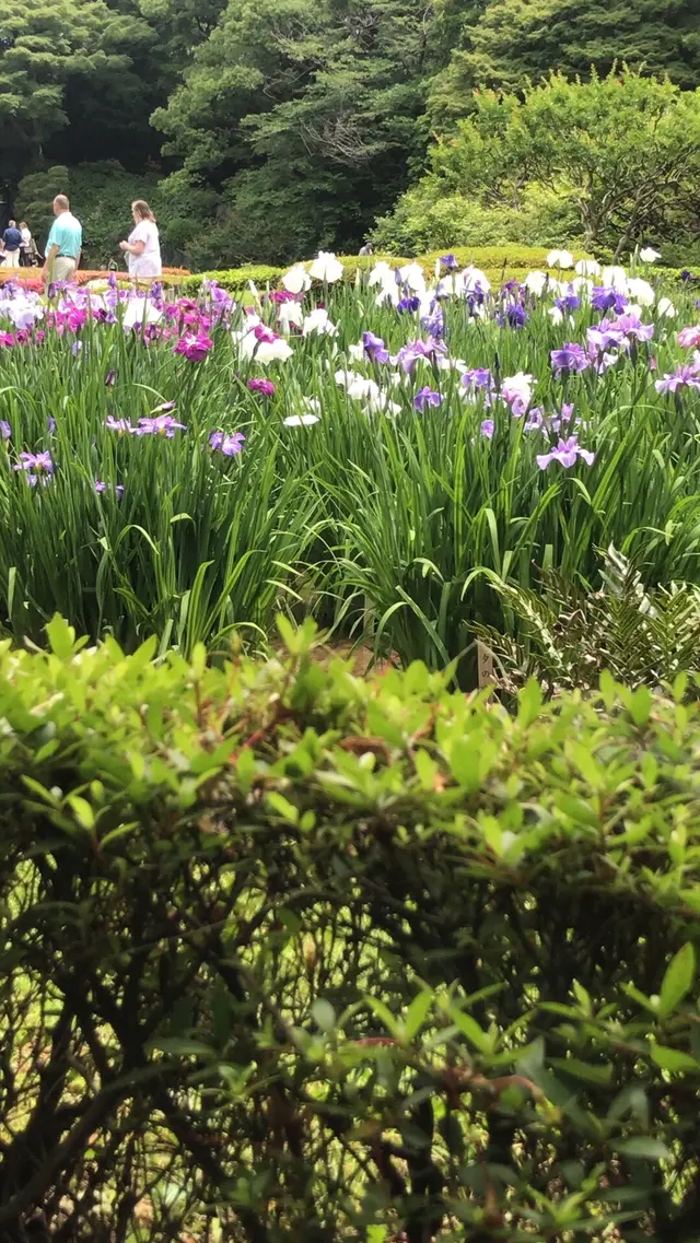 二の丸庭園