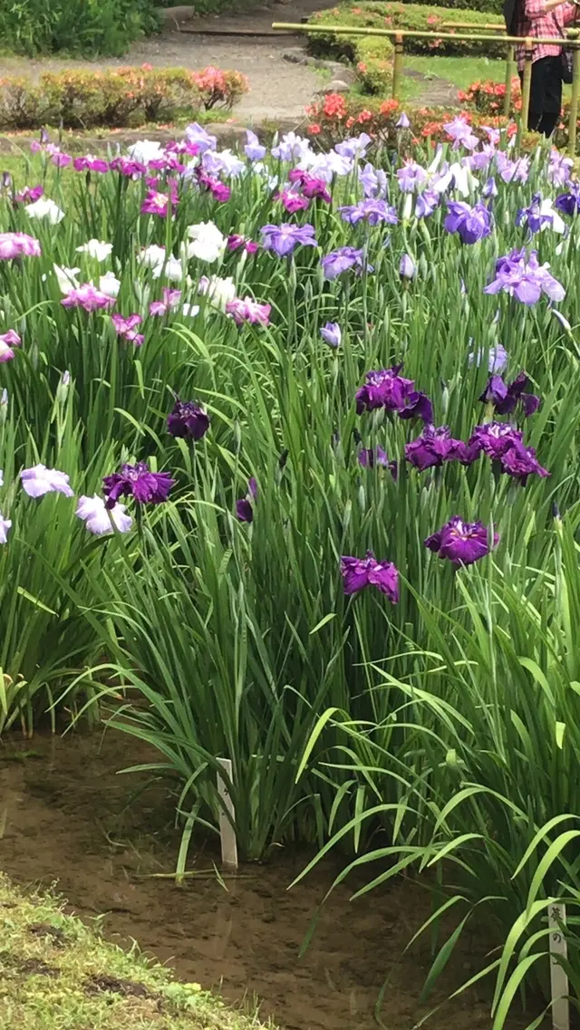 二の丸庭園