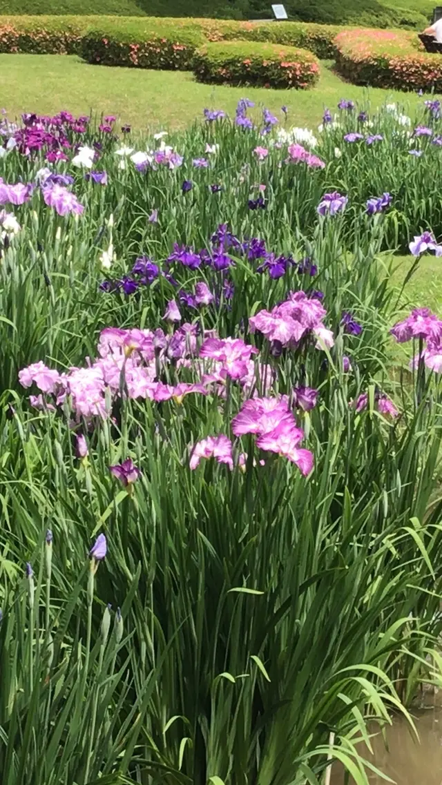 二の丸庭園