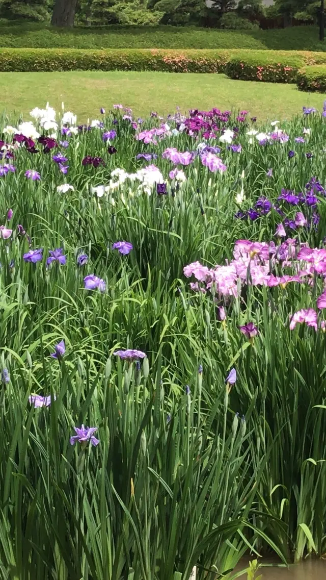 二の丸庭園
