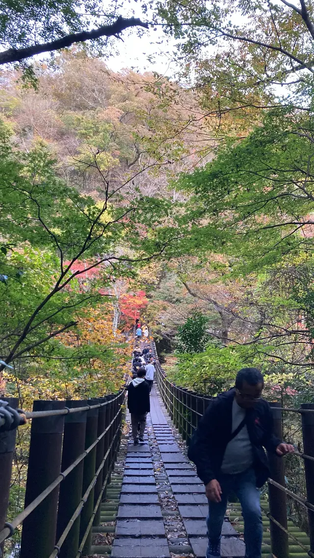 花貫渓谷