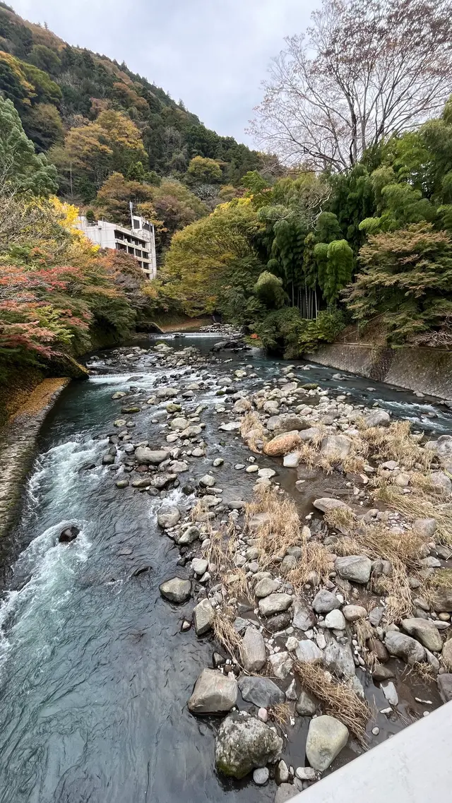 紫雲荘