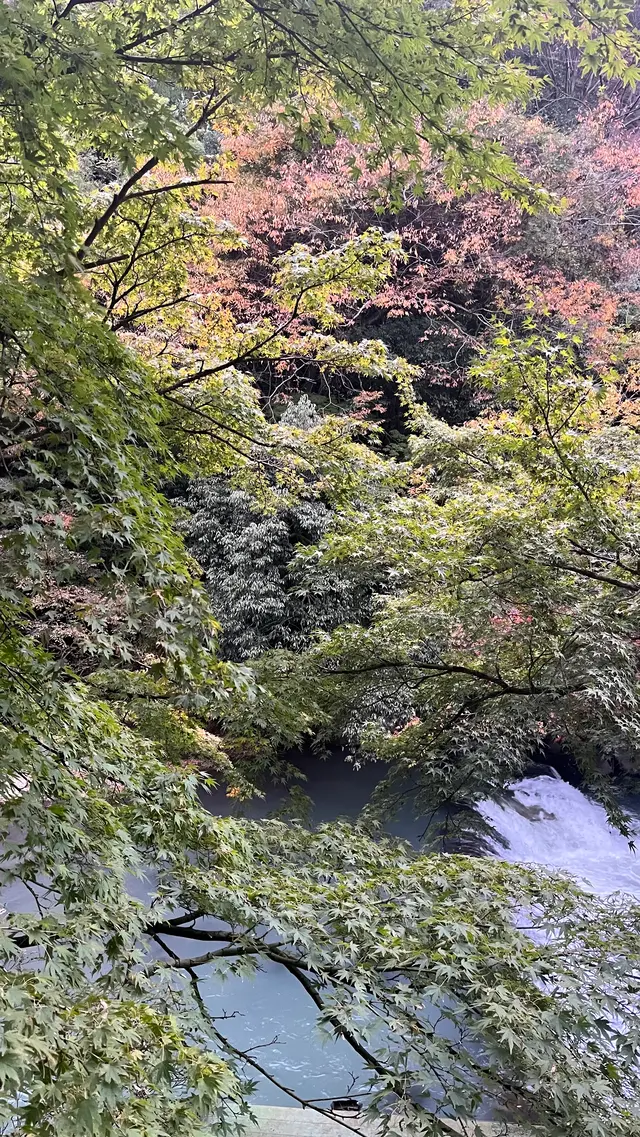 紫雲荘