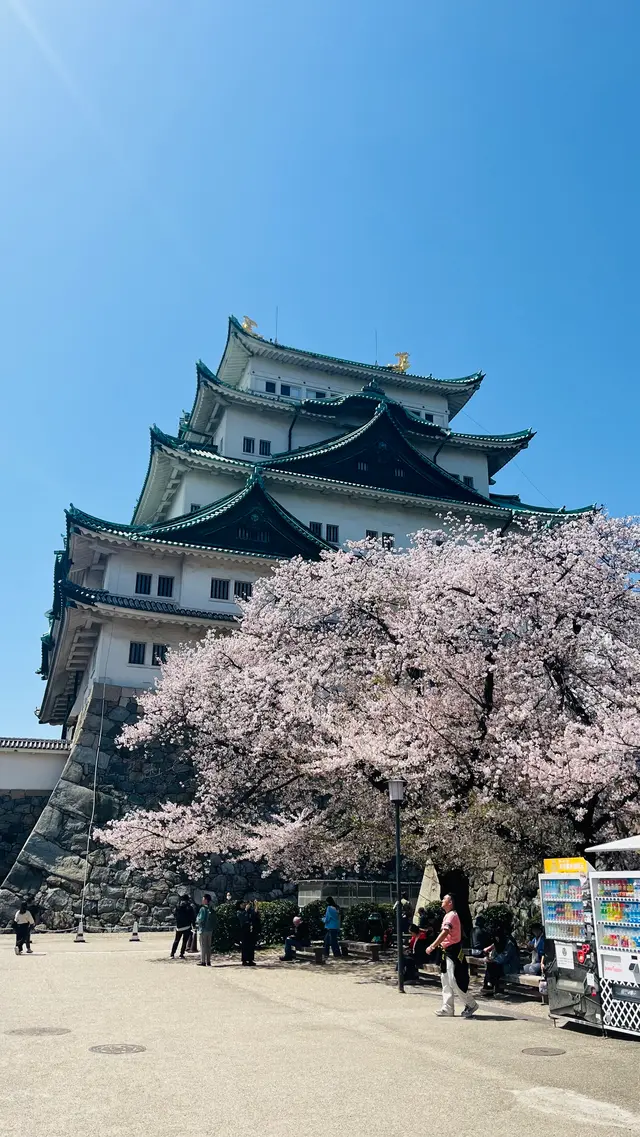名古屋城